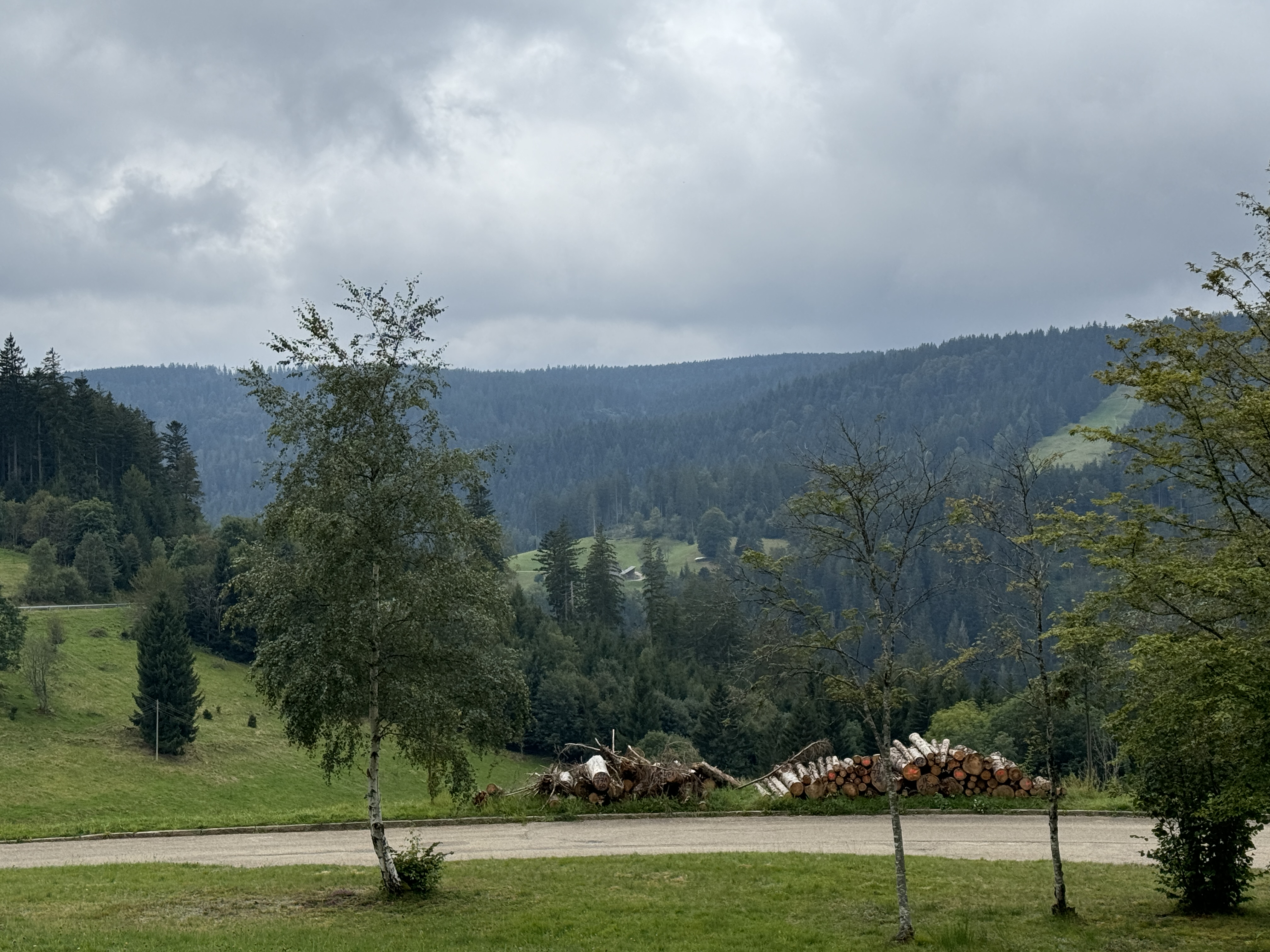Germany Black Forest 2024 Image 33